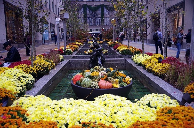 Rockefeller Center actividades imprescindibles Channel Gardens