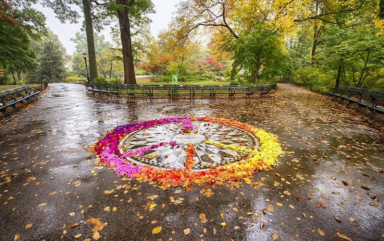 El mejor street art de Nueva York Imagine Central Park