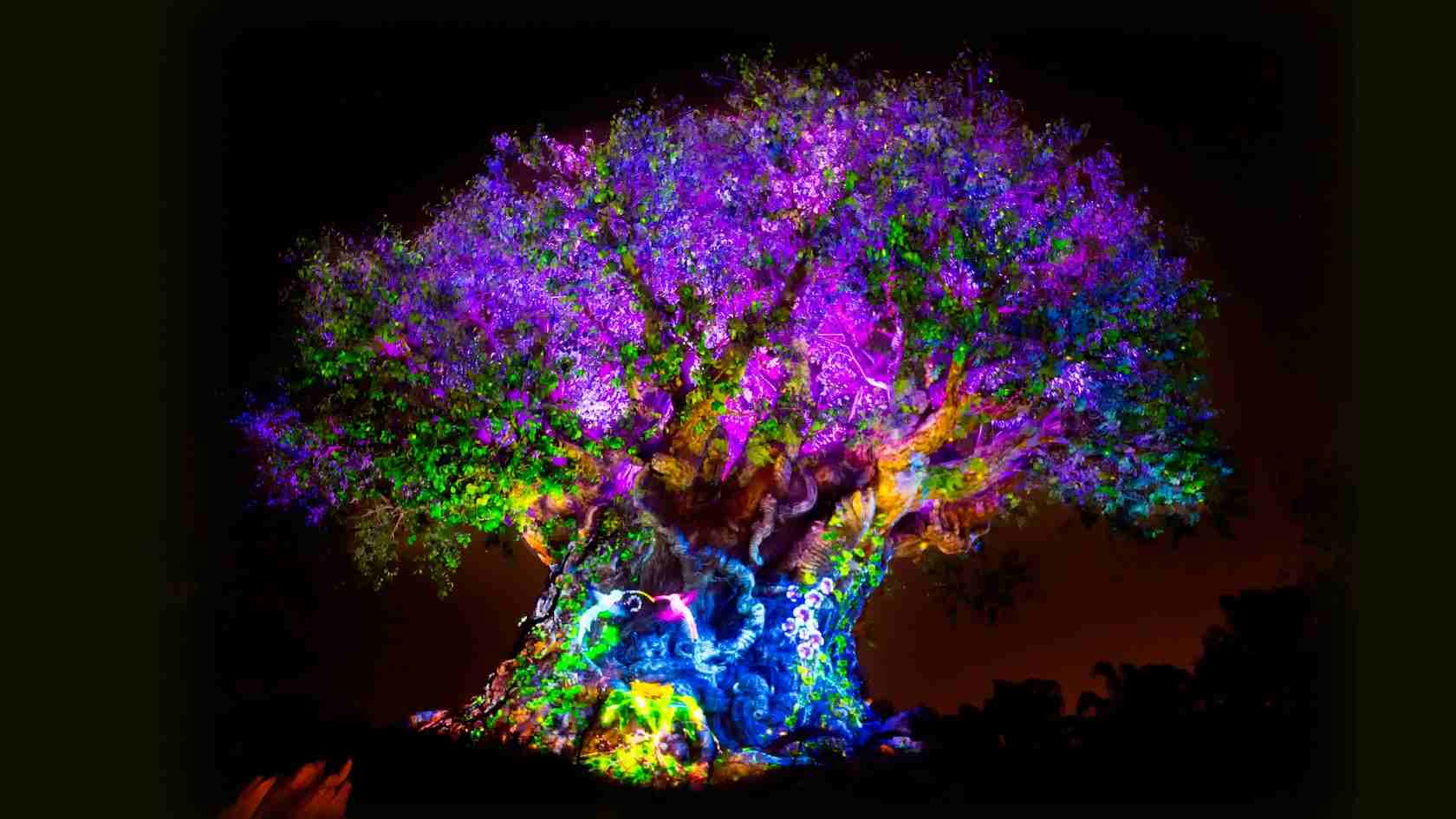 Tree of Light Animal Kingdom show nocturno