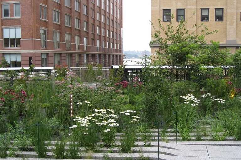 Midtown Manhattan Nueva York en un dia High Line Park