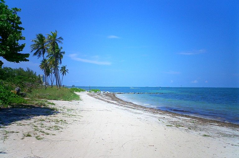 Mejores playas Miami Virginia Key