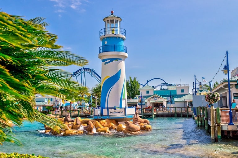 Guía SeaWorld Orlando las mejores atracciones